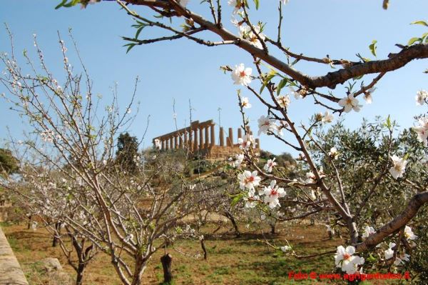 Ingresso gratuito alla Valle dei Templi di Agrigento, prossimo appuntamento domenica 5 marzo 2023